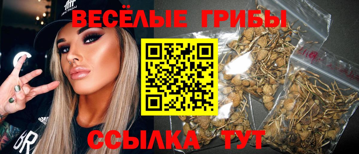 Псилоцибиновые грибы мухоморы Бахчисарай