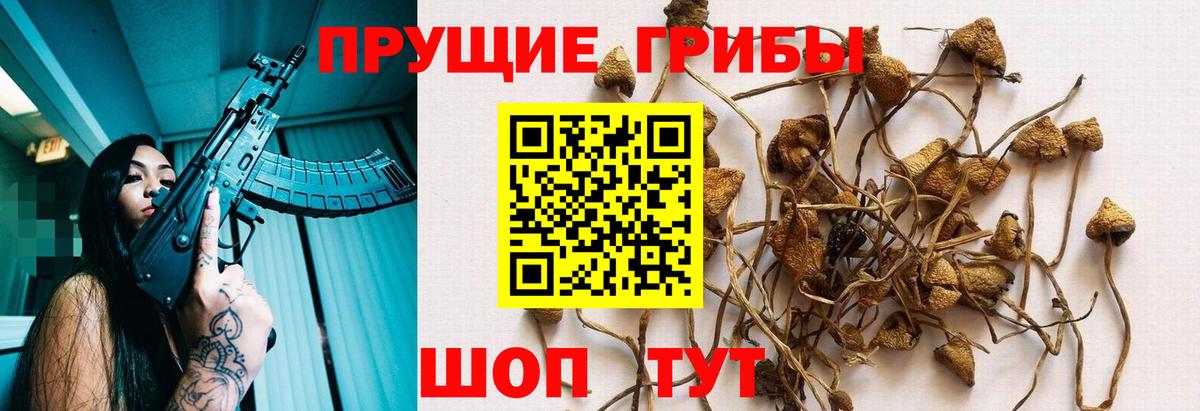 Галлюциногенные грибы Cubensis  Галлюциногенные грибы Psilocybine cubensis  Бахчисарай  Вход с VPN 